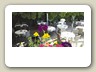 bild_13